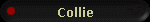 Collie
